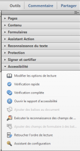 Figure - menu Accessibilité